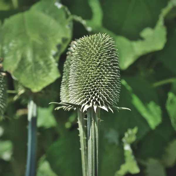 天空彩票棋牌游戏